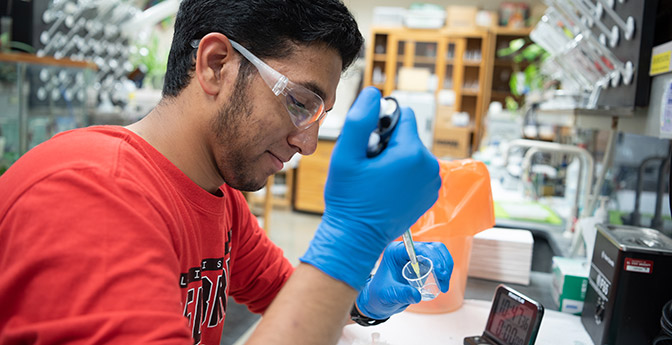 Students in a lab